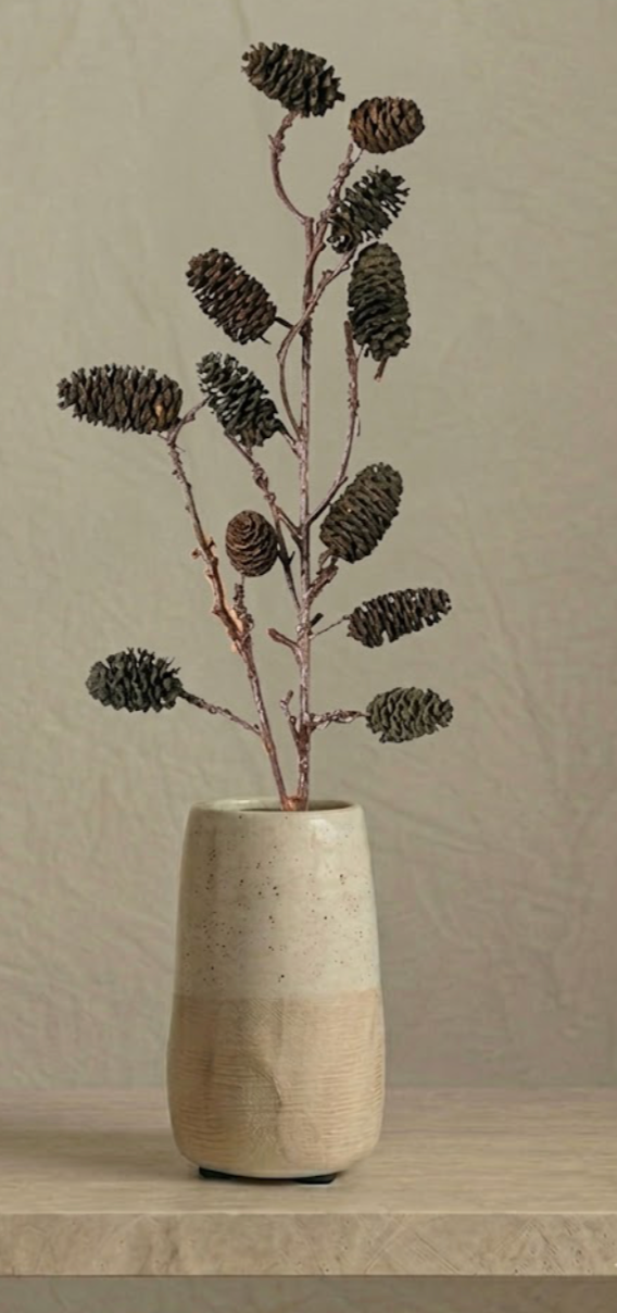 STEM - SEASIDE ALDER