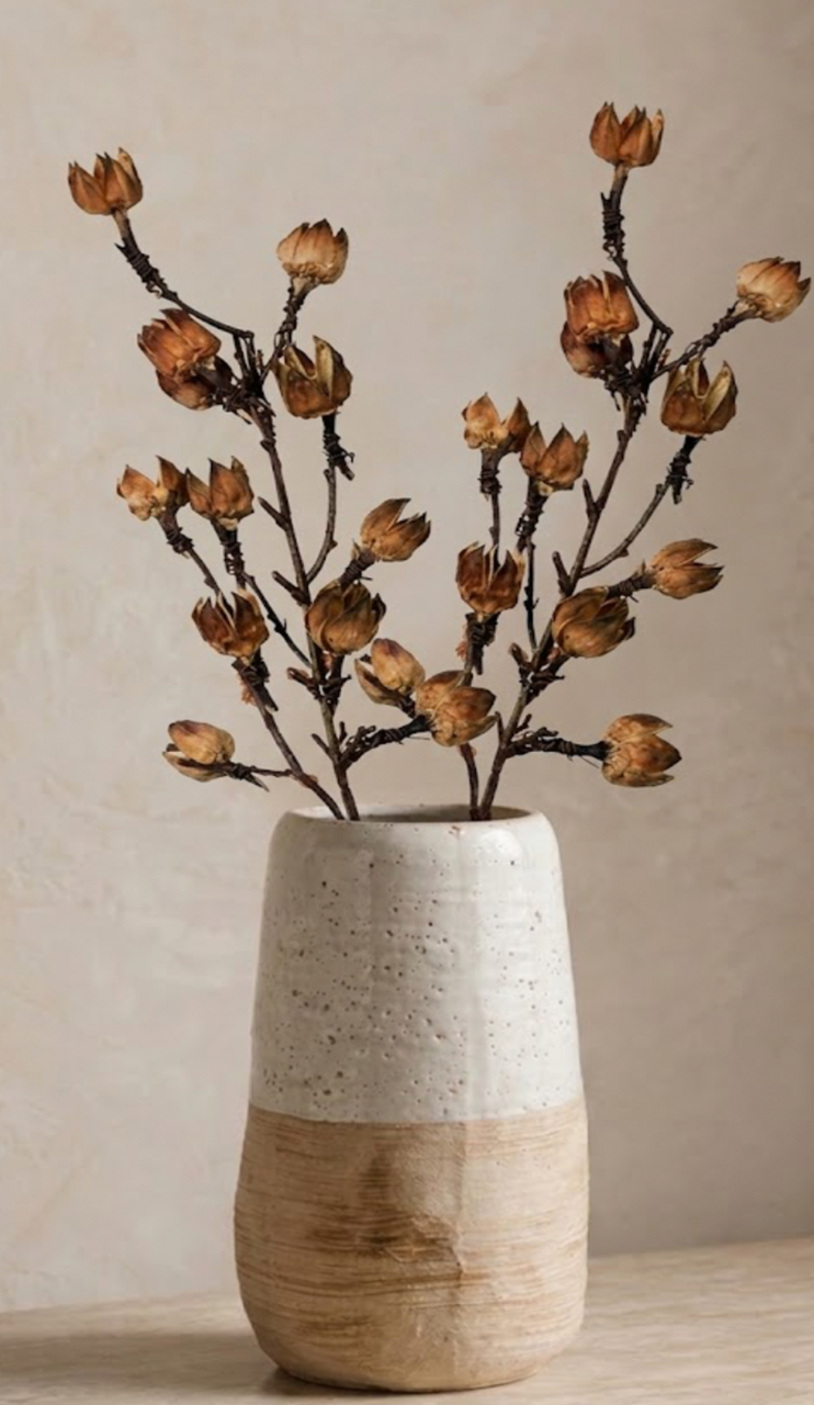 STEM - COTTON POD