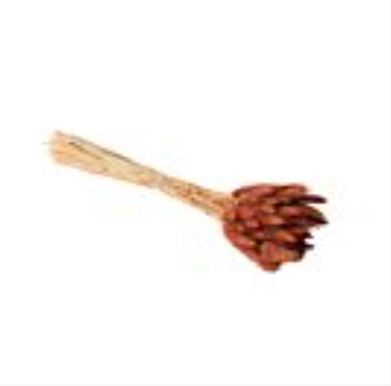 RUST GRASS STEMS BOUQUET