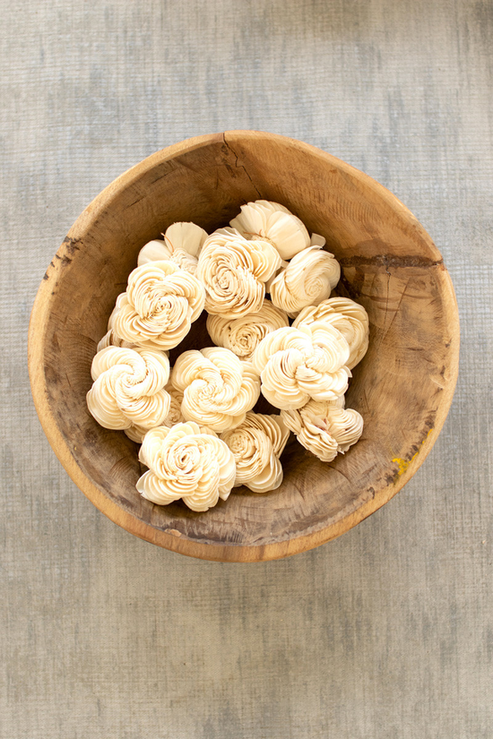 DRIED SHELL FLOWERS