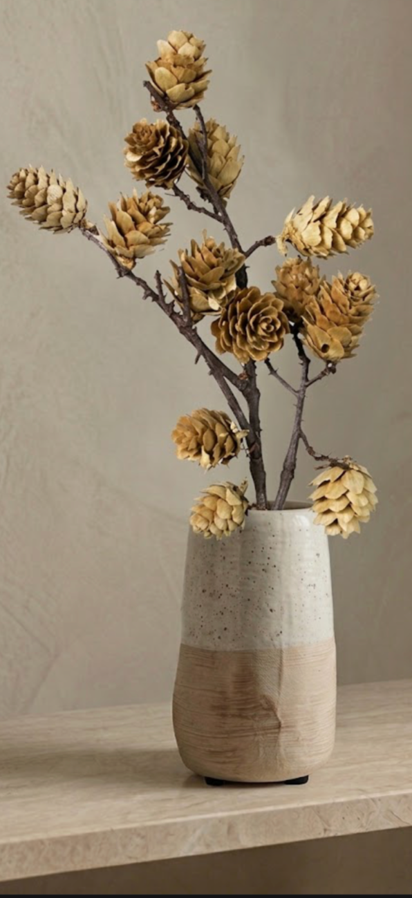 STEM - WHITE PINECONE
