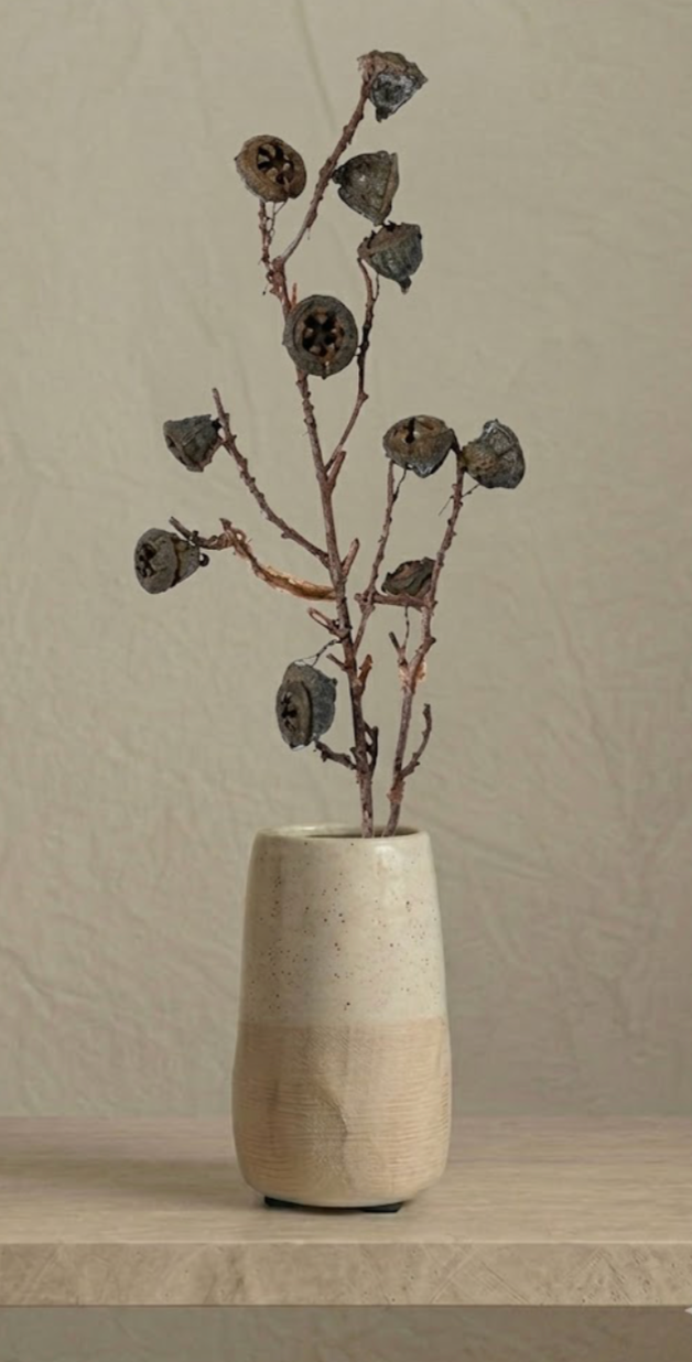 DRIED EUCALYPTUS POD STEM
