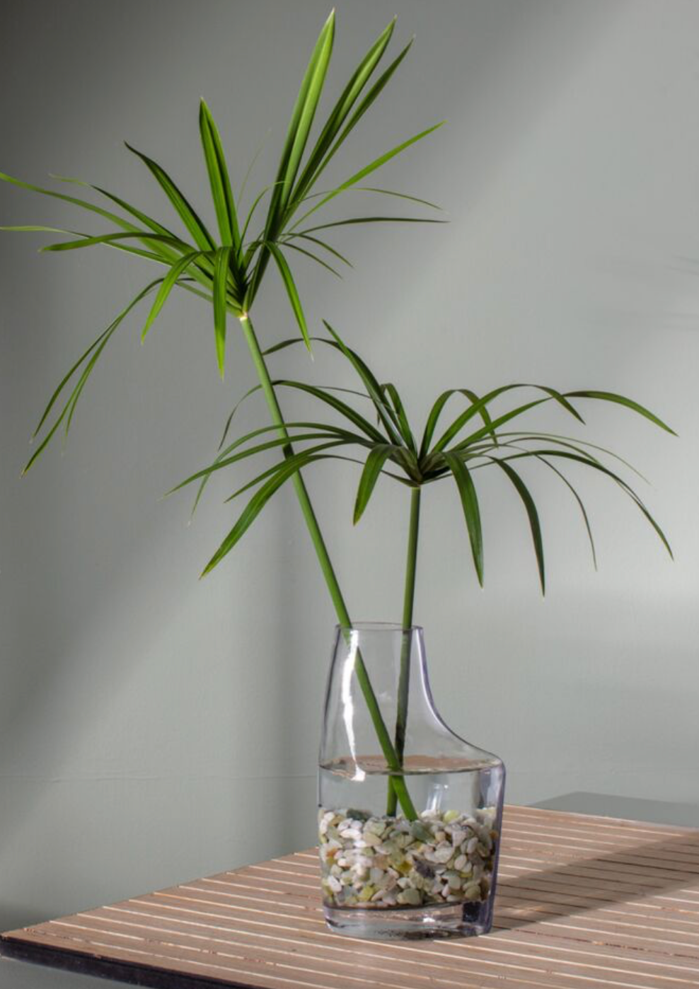 CLEAR GLASS VASE- TALL