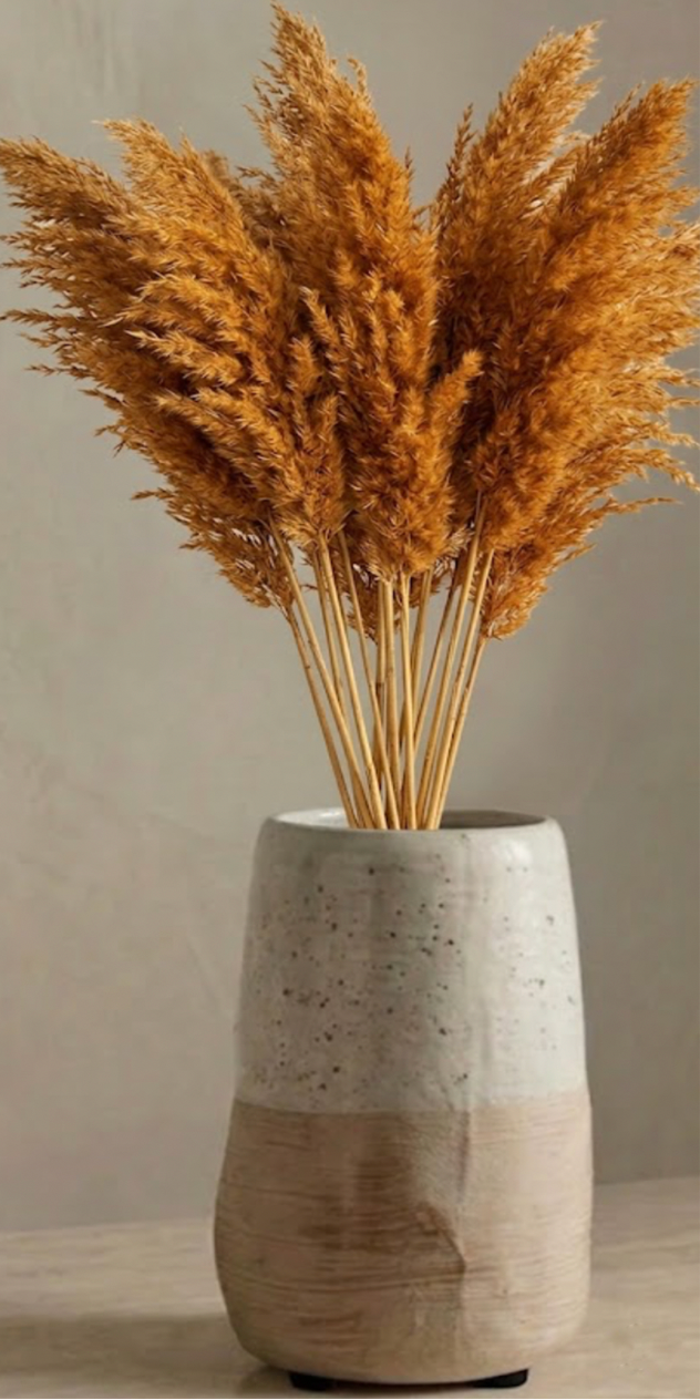 AUBURN PAMPAS GRASS BUNDLE