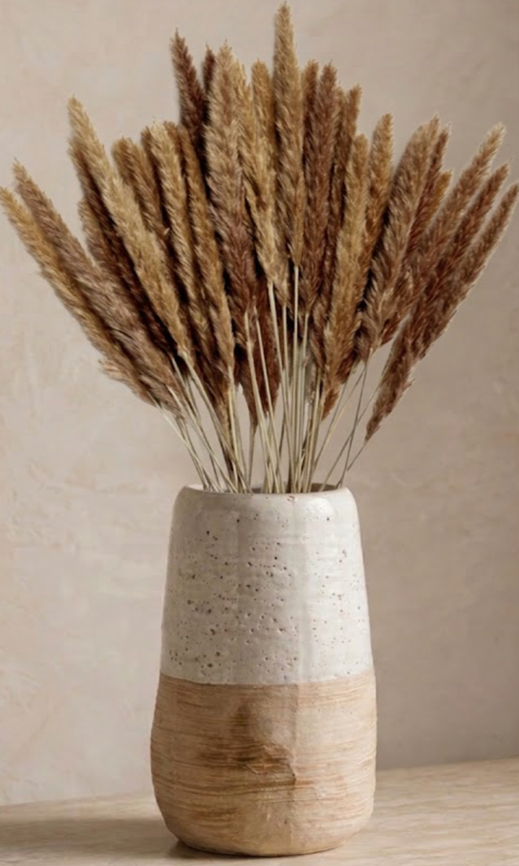 NATURAL PAMPAS GRASS