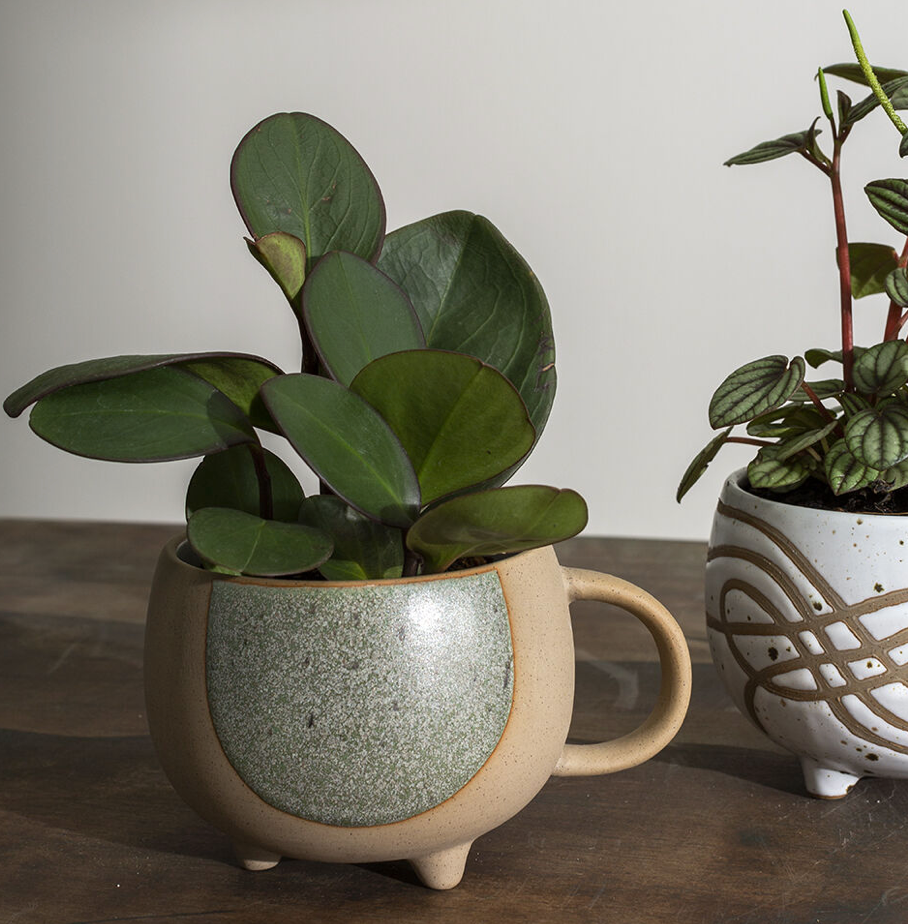 BROWN & GREEN MUG
